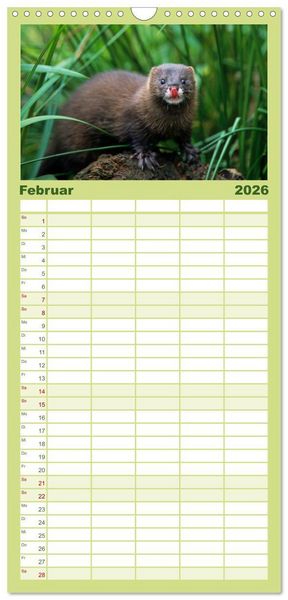 Produktbild: Familienplaner 2026 - Tiere des Waldes mit 5 Spalten (Wandkalender, 21 x 45 cm) CALVENDO