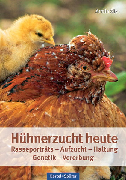 Produktbild: H&uuml;hnerzucht heute