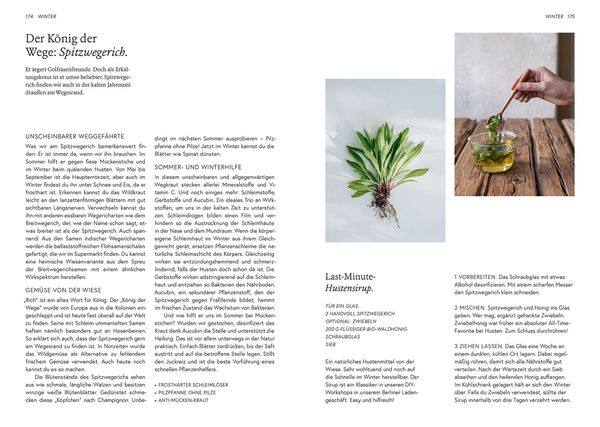 Produktbild: Kruut - Wildpflanzen im Alltag