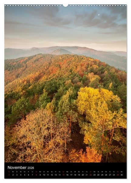 Produktbild: NATURWUNDER PF&Auml;LZERWALD (Wandkalender 2026 DIN A2 hoch), CALVENDO Monatskalender