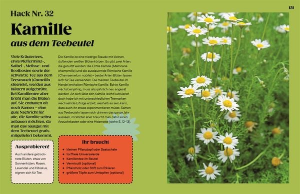 Produktbild: Regrow