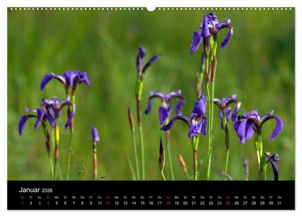 Produktbild: Sibirien- Impressionen von der Lena (hochwertiger Premium Wandkalender 2026 DIN A2 quer), Kunstdruck in Hochglanz