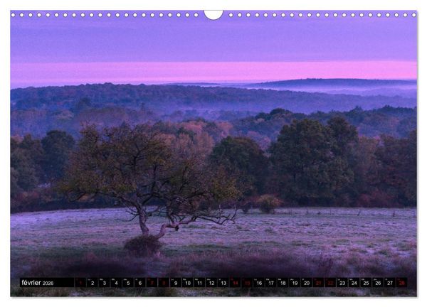 Produktbild: Lumi&egrave;res des Vosges (Calendrier mural 2026 DIN A3 vertical), CALVENDO calendrier mensuel