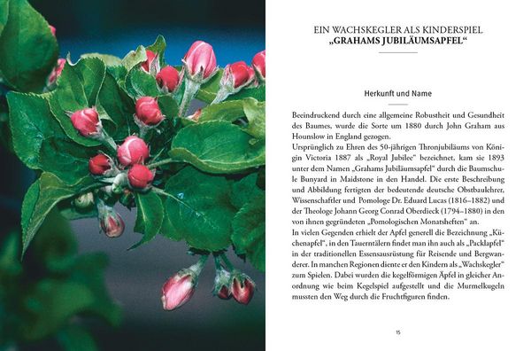 Produktbild: Das gro&szlig;e kleine Buch: Alte Obstsorten in der K&uuml;che