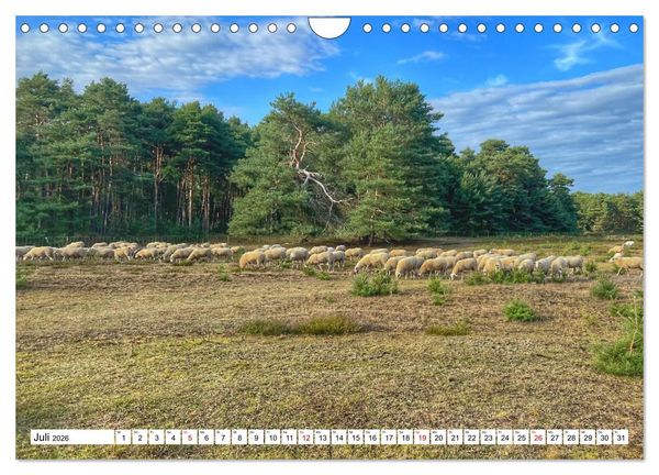 Produktbild: Lingen Ems (Wandkalender 2026 DIN A4 quer), CALVENDO Monatskalender
