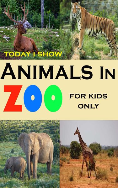 Produktbild: Today I Show Animals In Zoo For Kids Only