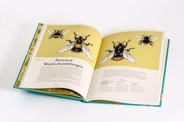 Produktbild: Das Museum der Insekten