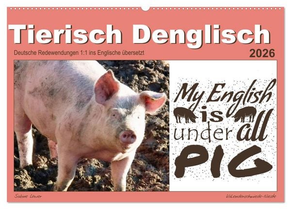 Produktbild: Tierisch Denglisch (Wandkalender 2026 DIN A2 quer), CALVENDO Monatskalender