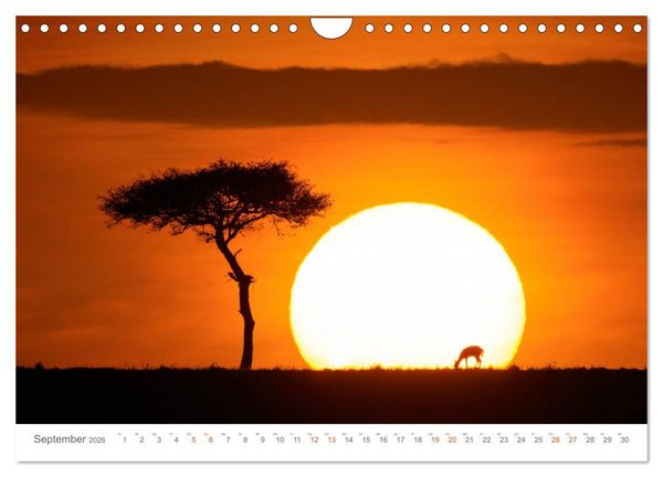 Produktbild: Safari Kenia (Wandkalender 2026 DIN A4 quer), CALVENDO Monatskalender