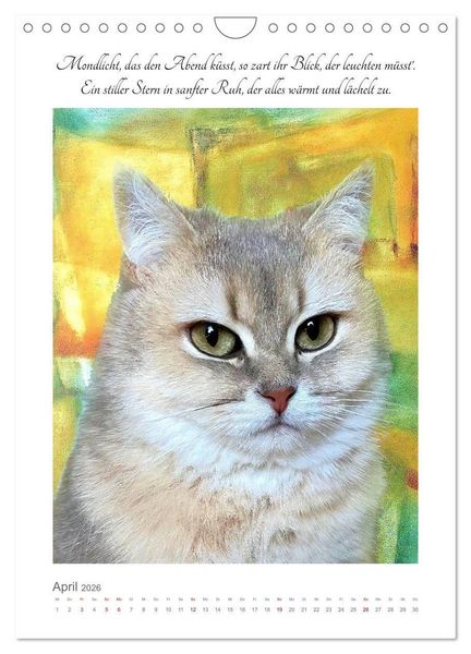 Produktbild: Katzenlyrik - Zw&ouml;lf Seelen auf Samtpfoten in Wort und Bild (Wandkalender 2026 DIN A4 hoch), CALVENDO Monatskalender