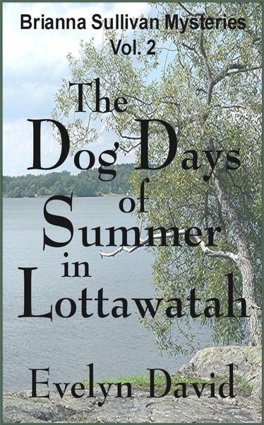 Produktbild: The Dog Days of Summer in Lottawatah (Brianna Sullivan Mysteries, #2)