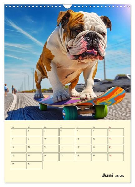 Produktbild: English Bulldogs. Fr&ouml;hliche Dickk&ouml;pfe mit Charakter (Wandkalender 2026 DIN A3 hoch), CALVENDO Monatskalender
