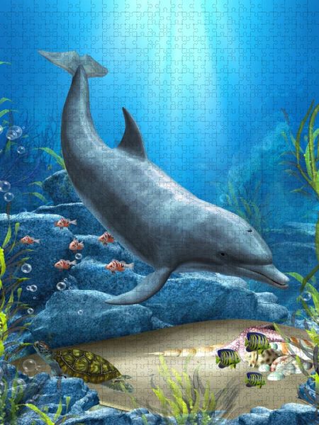 Produktbild: CALVENDO Puzzle Die Welt der Delfine | 1000 Teile Lege-Gr&ouml;&szlig;e 64x48cm Foto-Puzzle f&uuml;r gl&uuml;ckliche Stunden