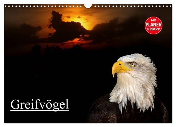 Produktbild: Greifv&ouml;gel (Wandkalender 2026 DIN A3 quer), CALVENDO Monatskalender