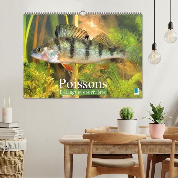 Produktbild: Poissons : d'&eacute;tangs et des rivi&egrave;res (Calendrier mural 2027 DIN A2 vertical), CALVENDO calendrier mensuel