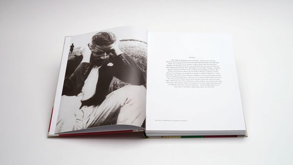Produktbild: Werner Schmidt &ndash; James Joyce und die Farben des Ulysses