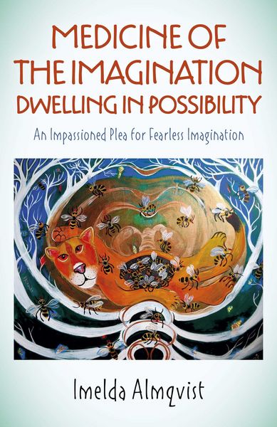 Produktbild: Medicine of the Imagination: Dwelling in Possibility