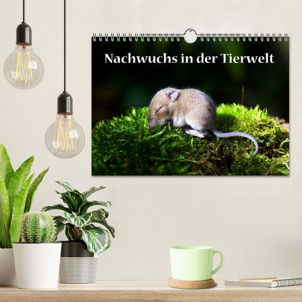Produktbild: Nachwuchs in der Tierwelt (Wandkalender 2026 DIN A4 quer), CALVENDO Monatskalender