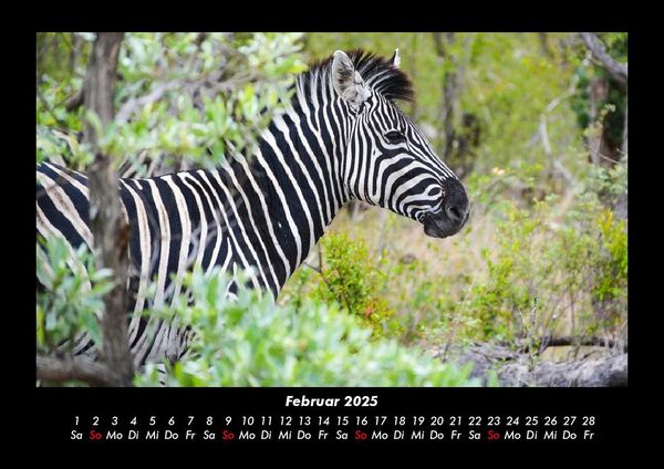 Produktbild: Zebrazauber 2025 Fotokalender DIN A3