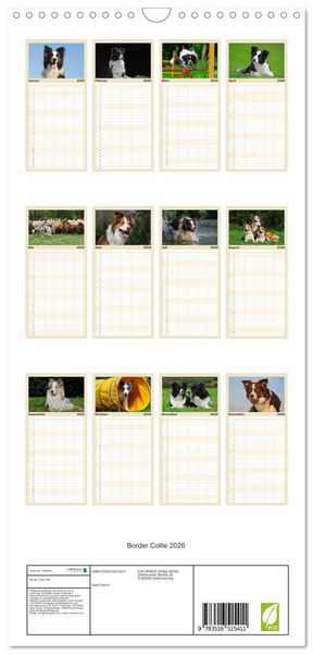 Produktbild: Familienplaner 2026 - Border Collie 2026 mit 5 Spalten (Wandkalender, 21 x 45 cm) CALVENDO