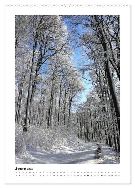 Produktbild: Mein Sehnsuchtsort, der Wald (Wandkalender 2026 DIN A2 hoch), CALVENDO Monatskalender