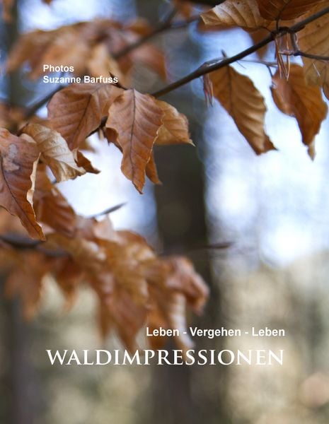 Produktbild: Waldimpressionen
