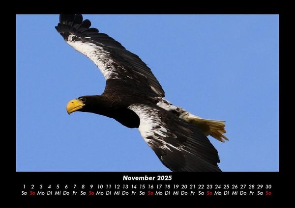 Produktbild: Adler 2025 Fotokalender DIN A3