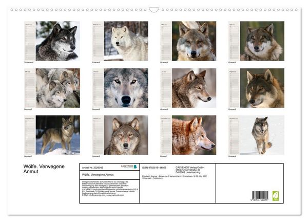 Produktbild: W&ouml;lfe. Verwegene Anmut (Wandkalender 2026 DIN A2 quer), CALVENDO Monatskalender