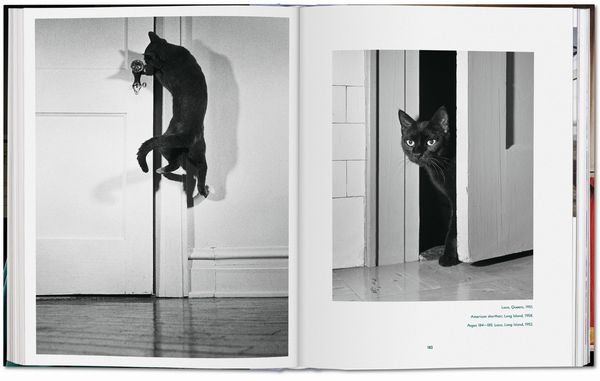Produktbild: Walter Chandoha. Cats. Photographs 1942&ndash;2018
