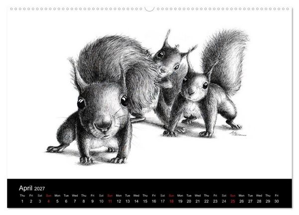 Produktbild: owls & friends 2027 (High Quality Premium Wall Calendar 2027 DIN A2 landscape),CALVENDO 12 Month Wall Calendar