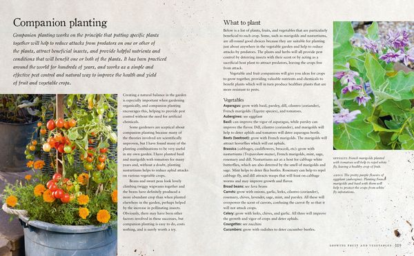 Produktbild: Urban Wildlife Gardening
