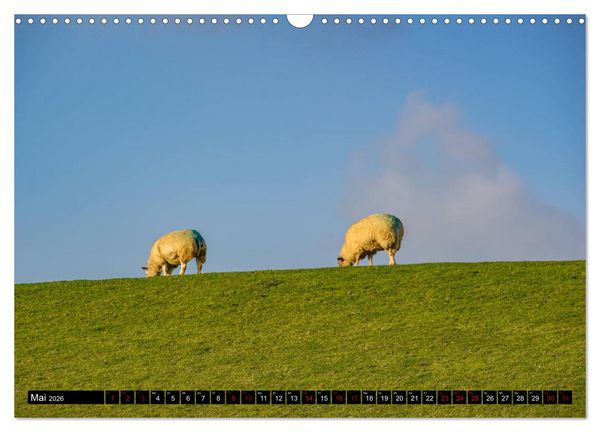 Produktbild: Provinz Groningen (Wandkalender 2026 DIN A3 quer), CALVENDO Monatskalender