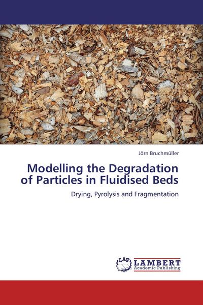 Produktbild: Modelling the Degradation of Particles in Fluidised Beds