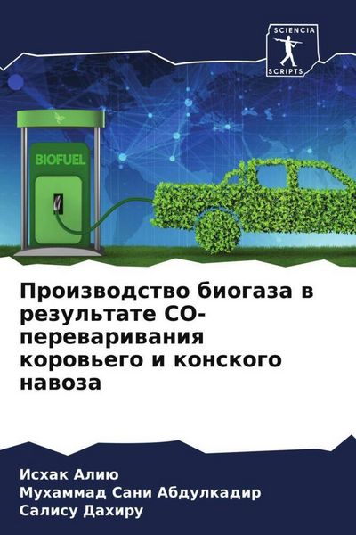 Produktbild: Proizwodstwo biogaza w rezul'tate CO-perewariwaniq korow'ego i konskogo nawoza