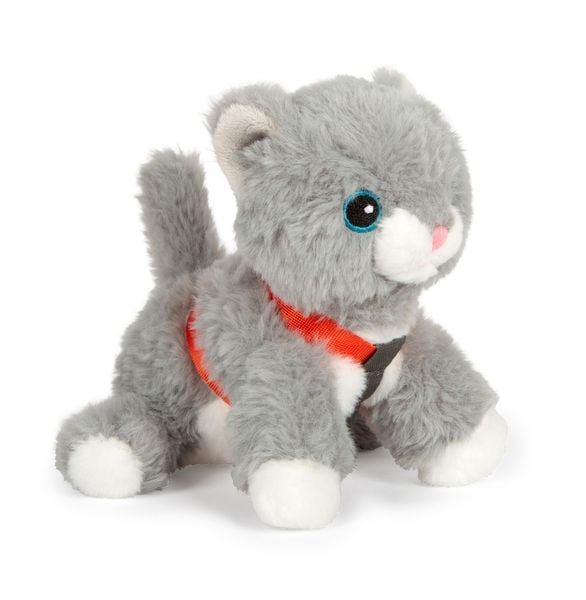 Produktbild: Katze mit Tasche und Pflege-Set