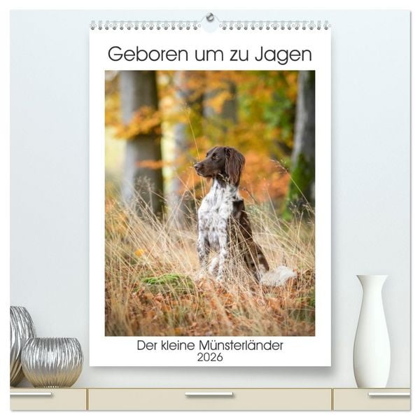 Produktbild: Geboren um zu Jagen. Der kleine M&uuml;nsterl&auml;nder (hochwertiger Premium Wandkalender 2026 DIN A2 hoch), Kunstdruck in Hochglanz