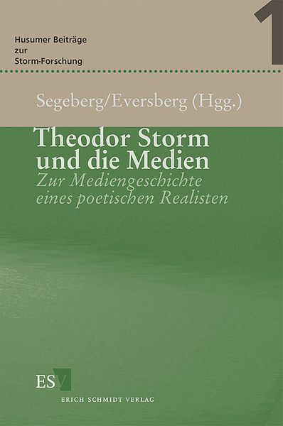 Produktbild: Theodor Storm und die Medien