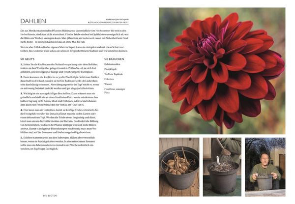 Produktbild: Das Gartenbuch