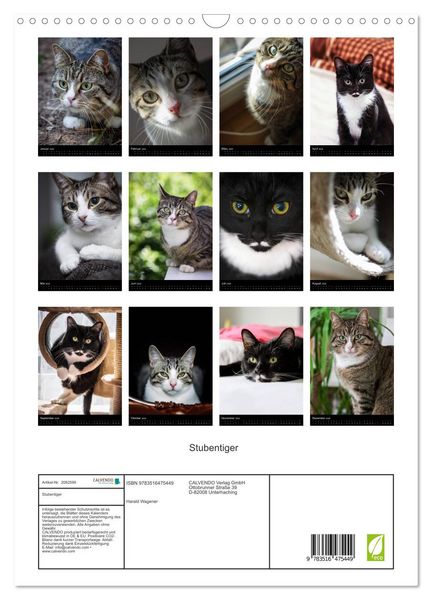Produktbild: Stubentiger (Wandkalender 2026 DIN A3 hoch), CALVENDO Monatskalender
