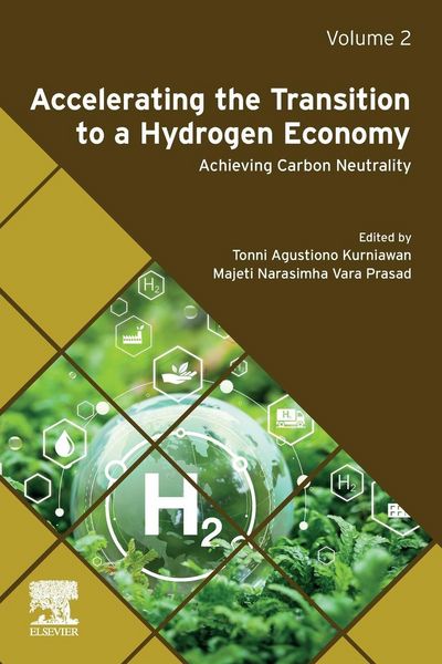 Produktbild: Accelerating the Transition to a Hydrogen Economy