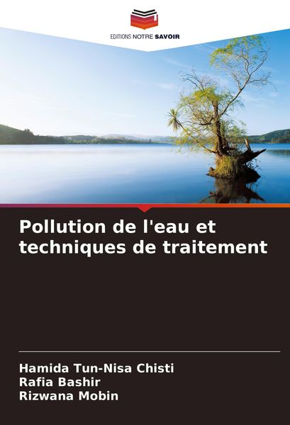 Produktbild: Pollution de l'eau et techniques de traitement