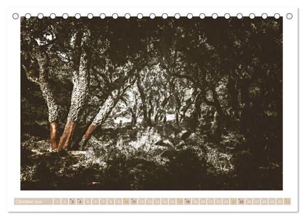 Produktbild: Sardinien Impressionen (Tischkalender 2026 DIN A5 quer), CALVENDO Monatskalender