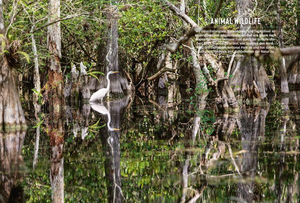 Produktbild: DuMont Bildatlas Florida