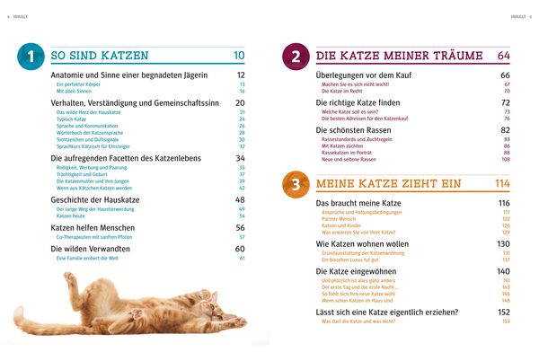Produktbild: Praxishandbuch Katzen