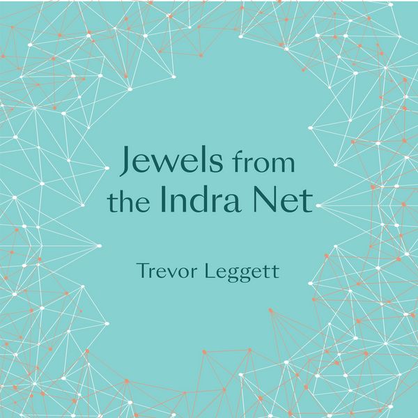 Produktbild: Jewels From The Indra Net
