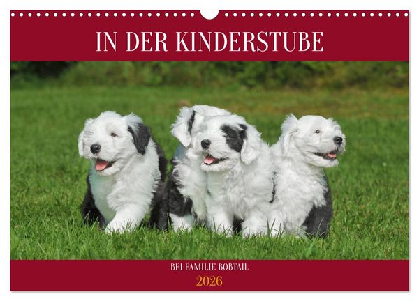 Produktbild: In der Kinderstube bei Familie Bobtail (Wandkalender 2026 DIN A3 quer), CALVENDO Monatskalender