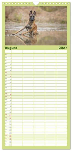 Produktbild: Familienplaner 2027 - Belgischer Sch&auml;ferhund - Der Malinois mit 5 Spalten (Wandkalender, 21 x 45 cm) CALVENDO