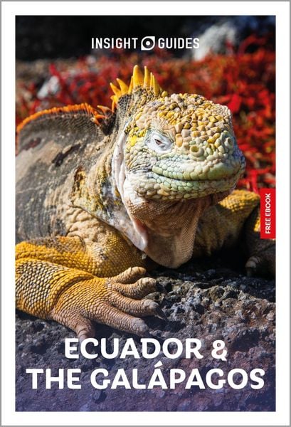 Produktbild: Insight Guides Ecuador and the Galapagos: Travel Guide with eBook