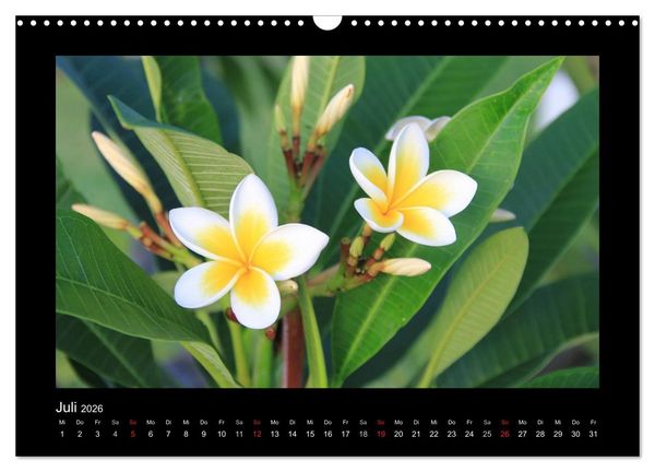Produktbild: Mauritius - traumhaft und unvergesslich (Wandkalender 2026 DIN A3 quer), CALVENDO Monatskalender