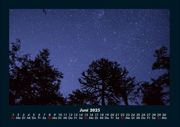 Produktbild: B&auml;ume 2025 Fotokalender DIN A4